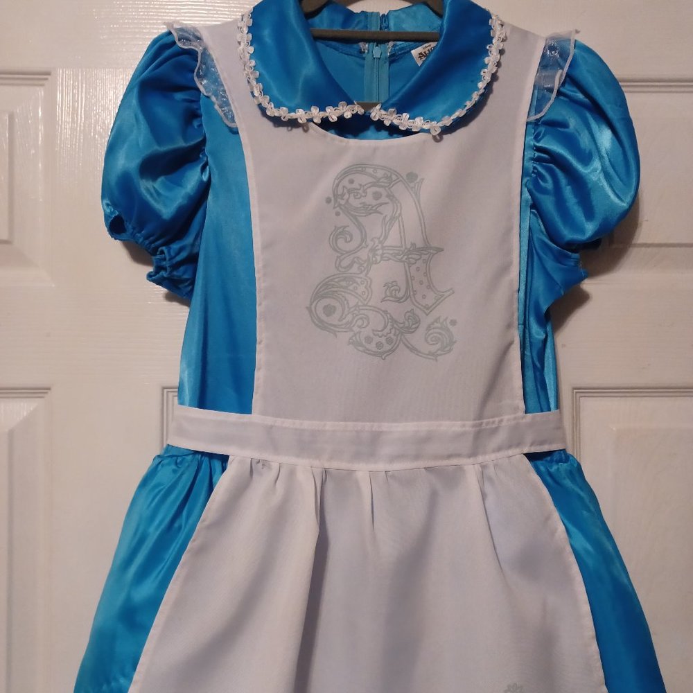 Alice in Wonderland  costume